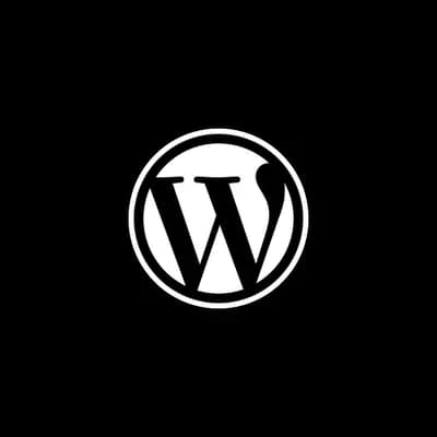 wordpress-img